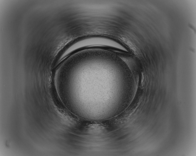 X0000091480544200708231402