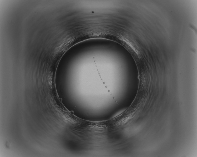 X0000091480545200708231402