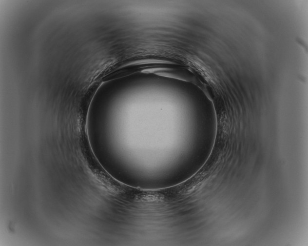 X0000091480546200708231402