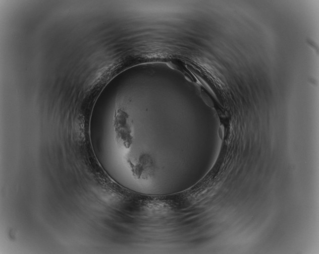 X0000091480547200708231402