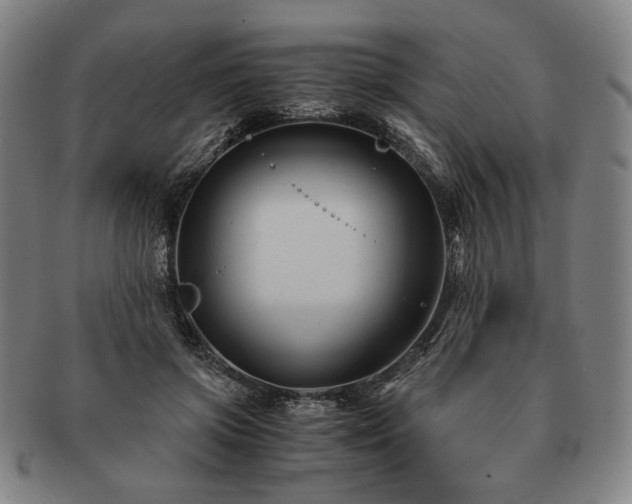 X0000091480549200708231402