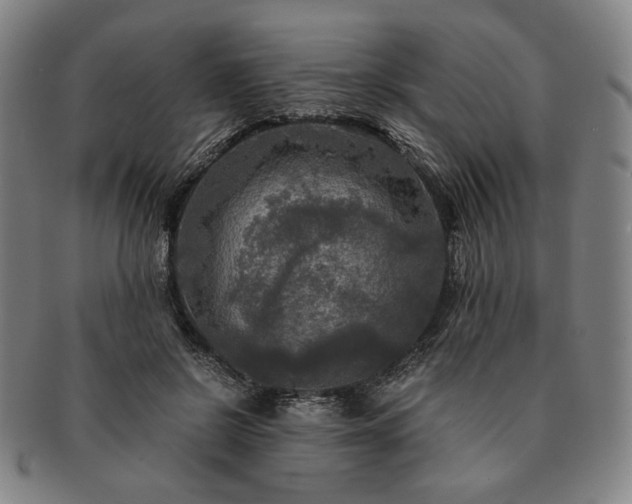 X0000091480550200708231402