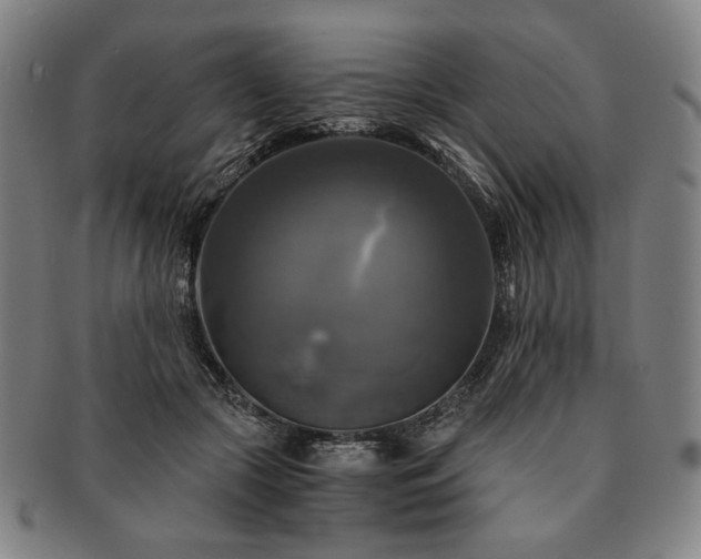 X0000091480553200708231402