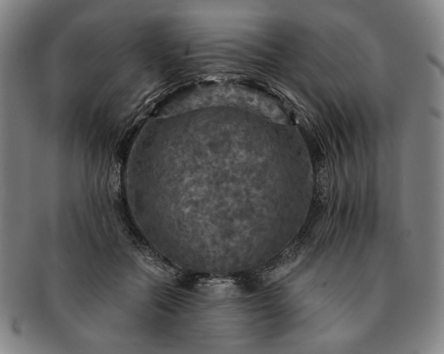 X0000091480554200708231402