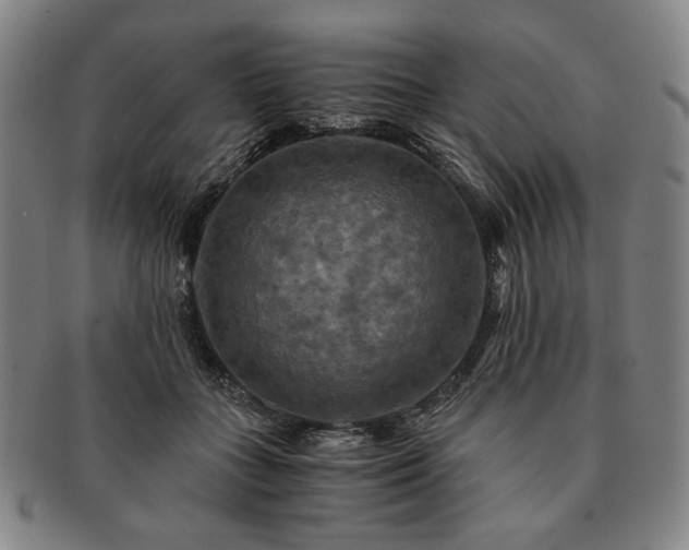 X0000091480555200708231402