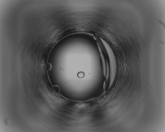 X0000091480557200708231402