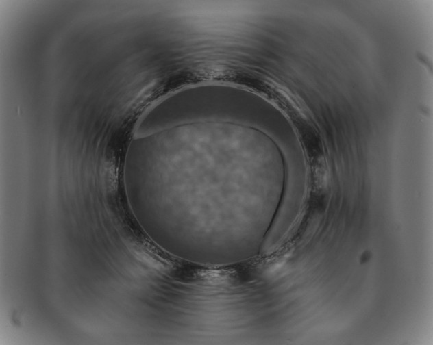 X0000091480558200708231403