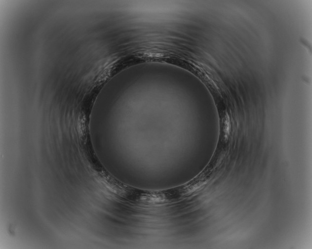 X0000091480559200708231403