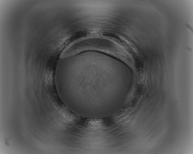 X0000091480560200708231403