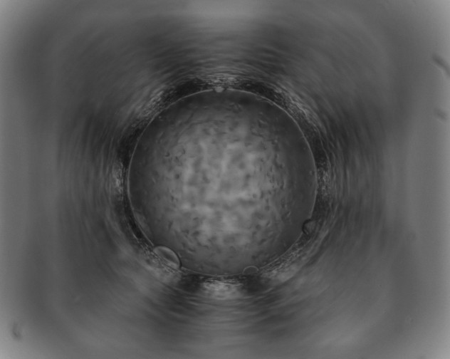 X0000091480561200708231403