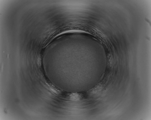 X0000091480562200708231403