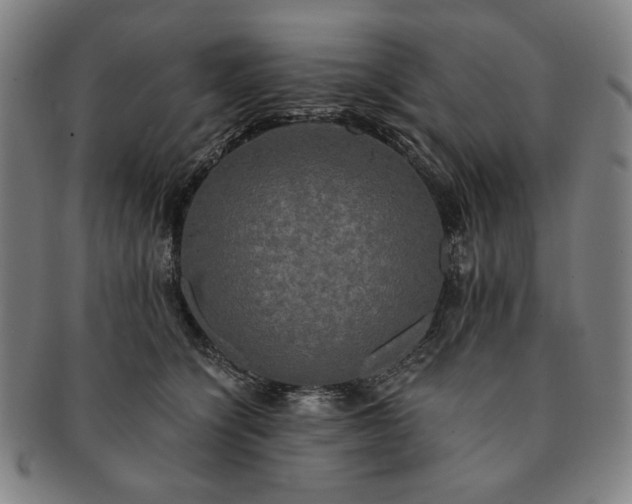 X0000091480564200708231403