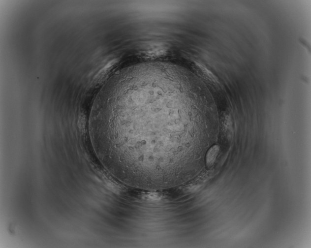 X0000091480565200708231403