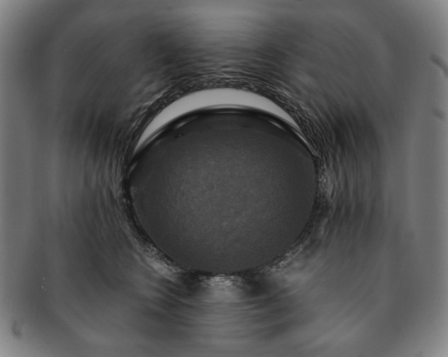 X0000091480566200708231403