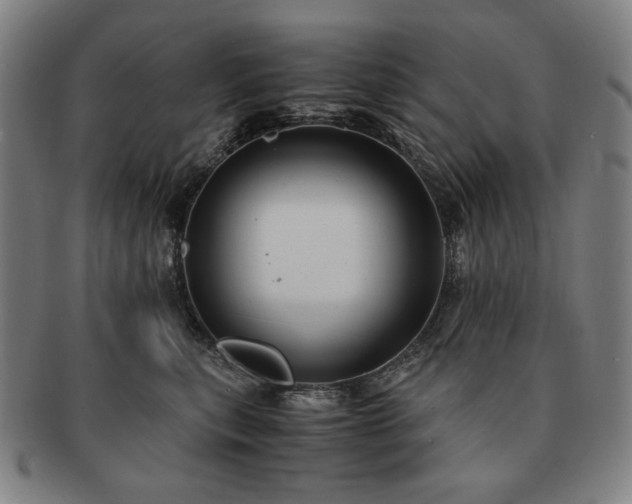 X0000091480567200708231403