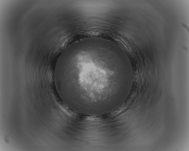 X0000091480568200708231403