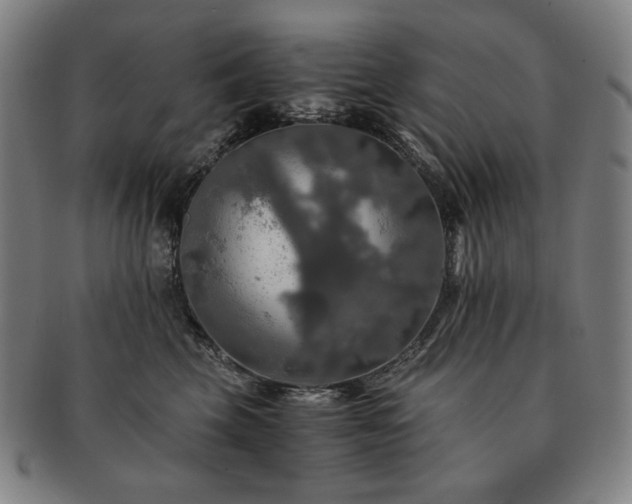 X0000091480569200708231403