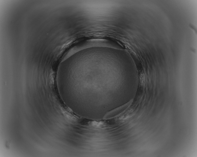 X0000091480570200708231403