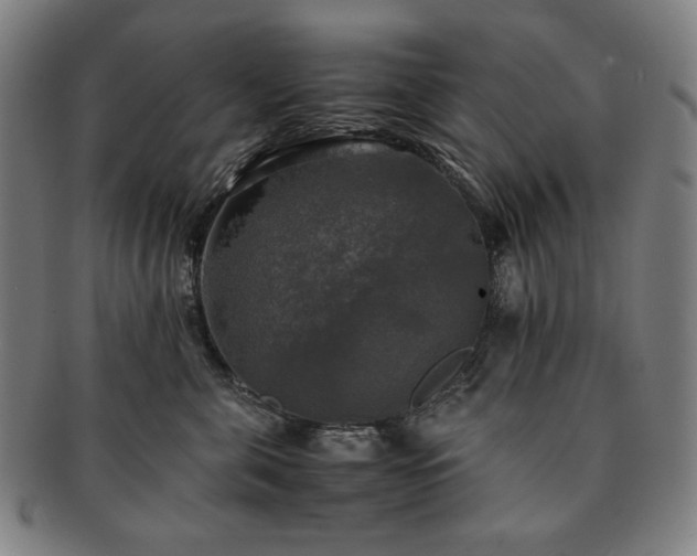 X0000091480571200708231403