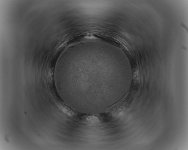 X0000091480572200708231403