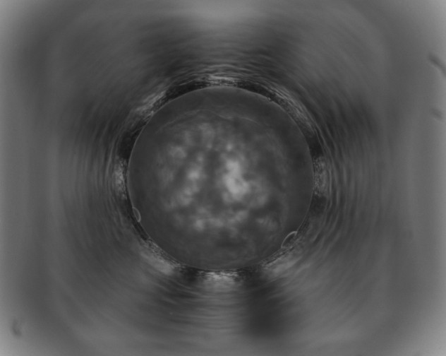 X0000091480573200708231403