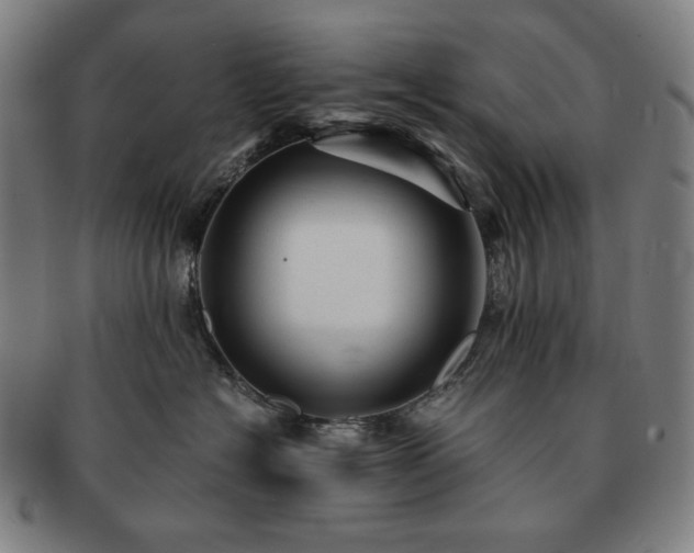 X0000091480574200708231403