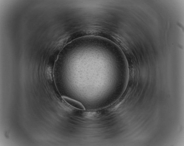 X0000091480575200708231403