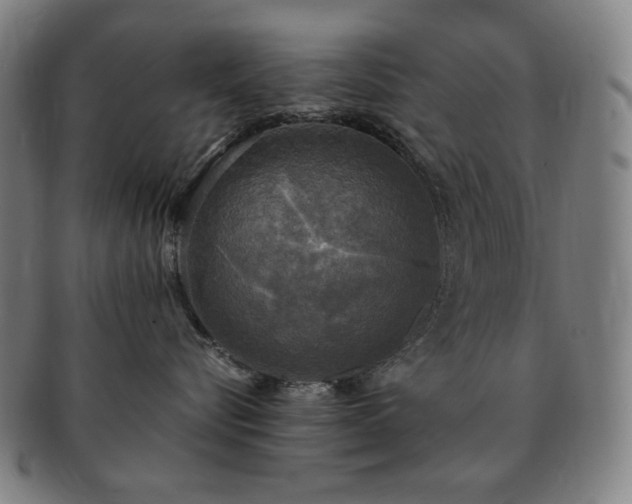 X0000091480576200708231403