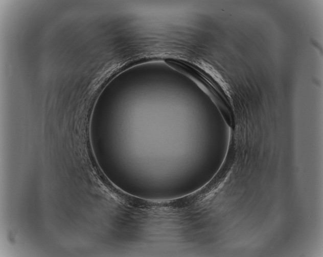 X0000091480577200708231402