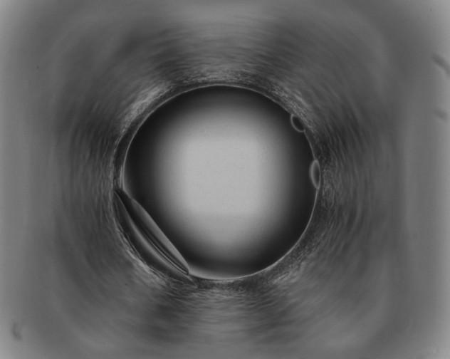 X0000091480578200708231402