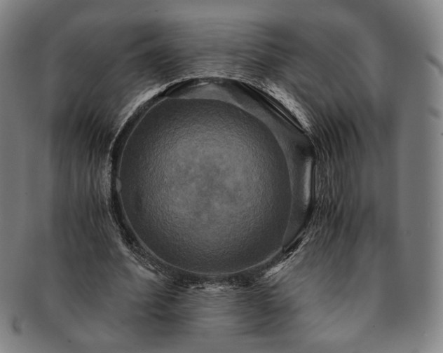 X0000091480580200708231402