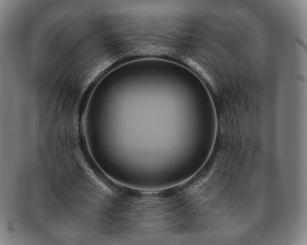 X0000091480581200708231402