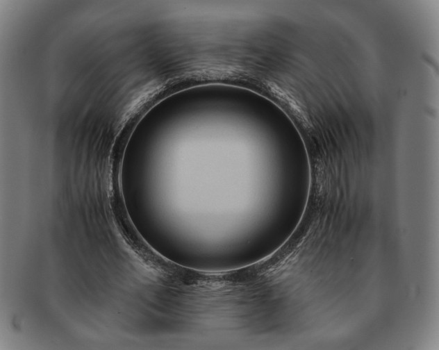 X0000091480582200708231402