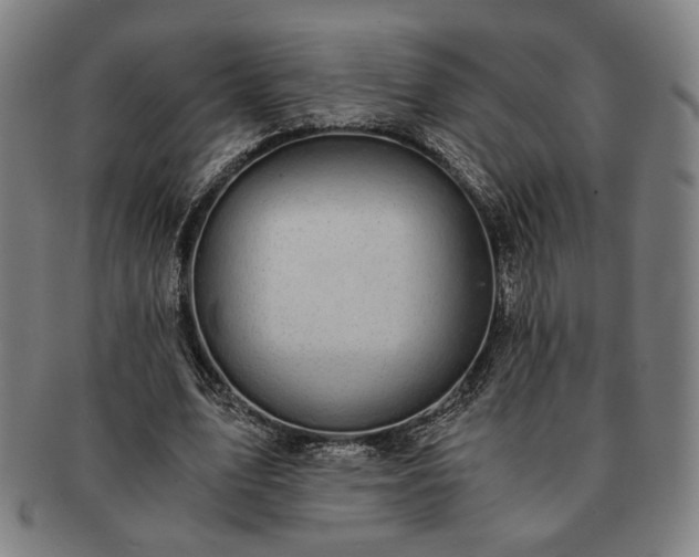 X0000091480583200708231402