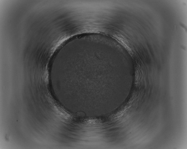 X0000091480584200708231402