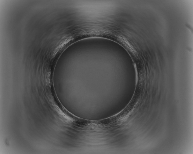 X0000091480585200708231402