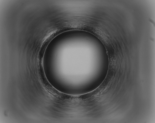 X0000091480587200708231402