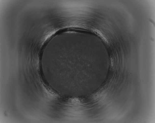 X0000091480588200708231402