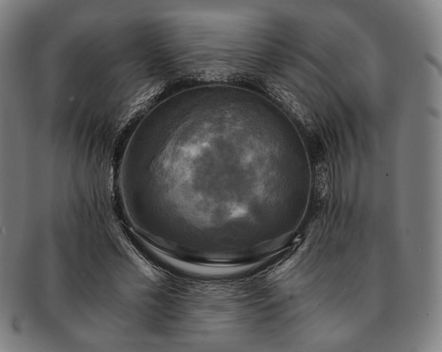 X0000091480589200708231402