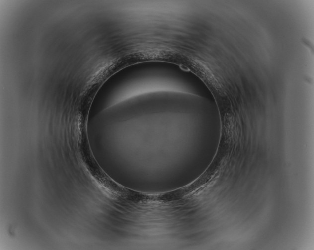 X0000091480590200708231402