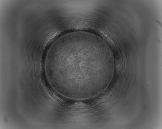 X0000091480591200708231402