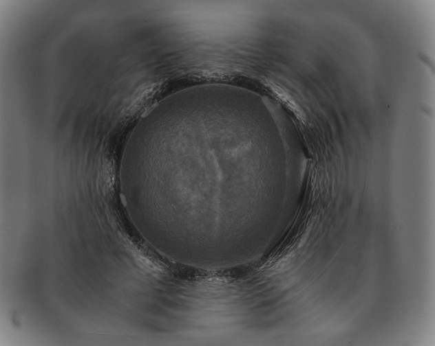 X0000091480593200708231402