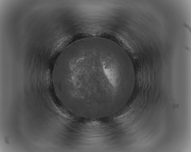 X0000091480594200708231402