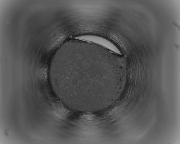 X0000091480595200708231402