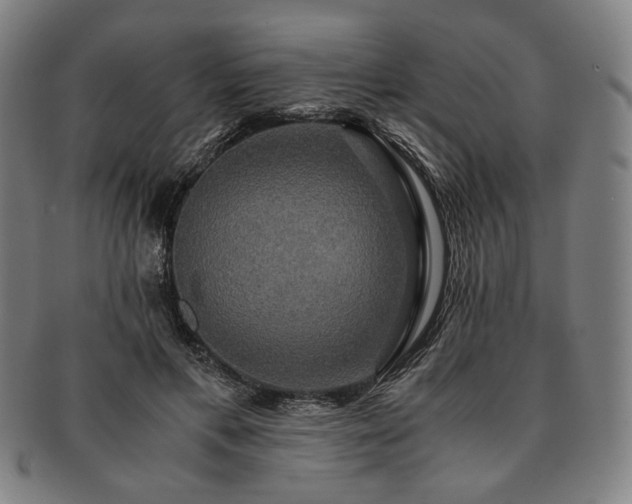 X0000091480597200708231402