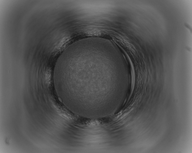 X0000091480600200708231402