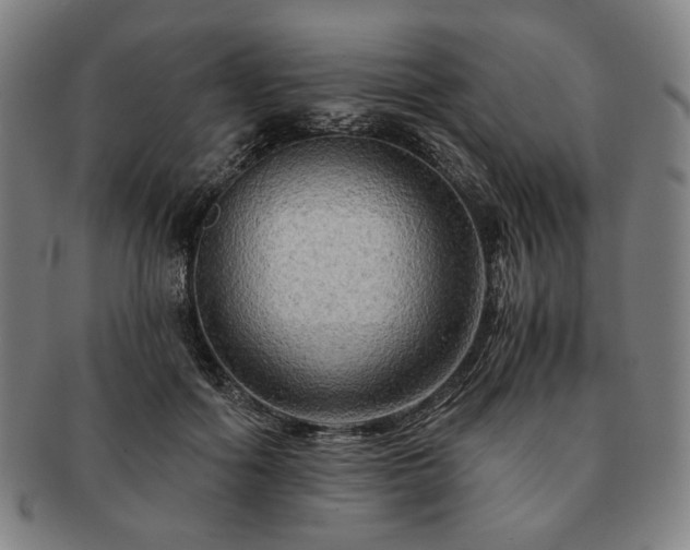 X0000091480602200708231402