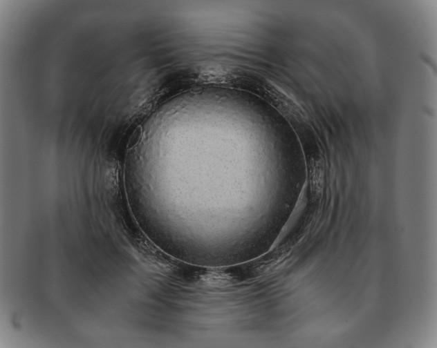 X0000091480603200708231402