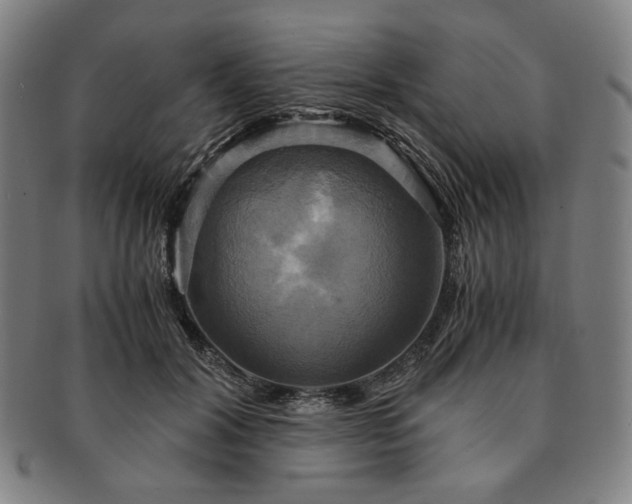 X0000091480604200708231402