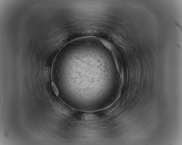 X0000091480605200708231402